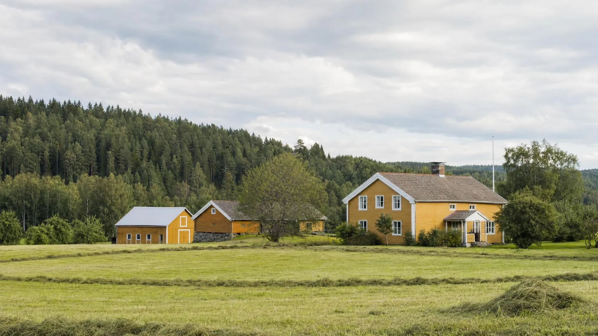 Hälsingegård med slåtteräng och skogsåsar i Gävleborgs län