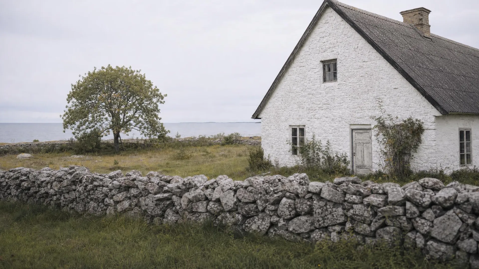 Kustäng med stenmur och kalkstensgård vid Östersjön i Kalmar län