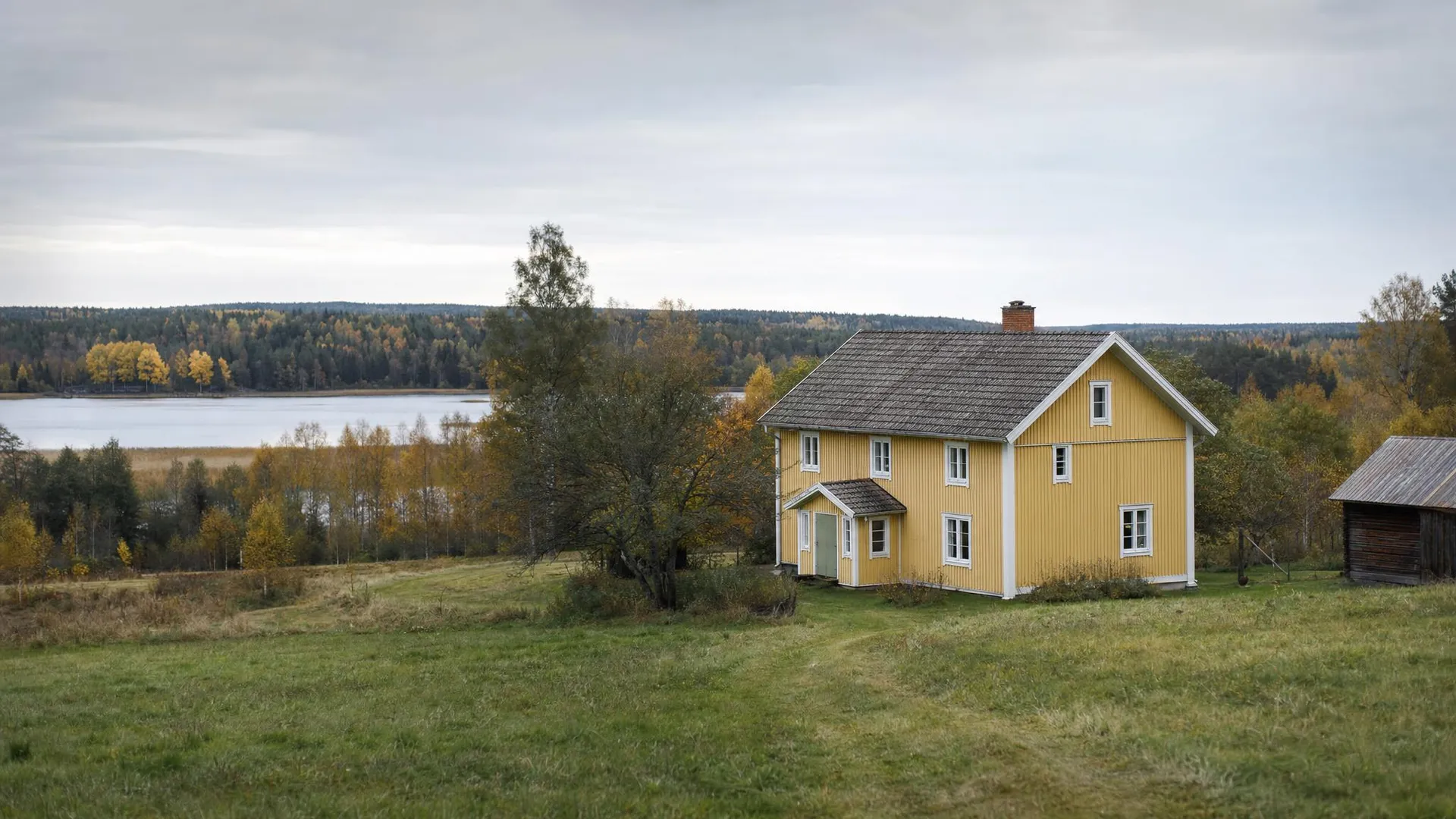 Odlingslandskap med gul gård och sjökant i Örebro län