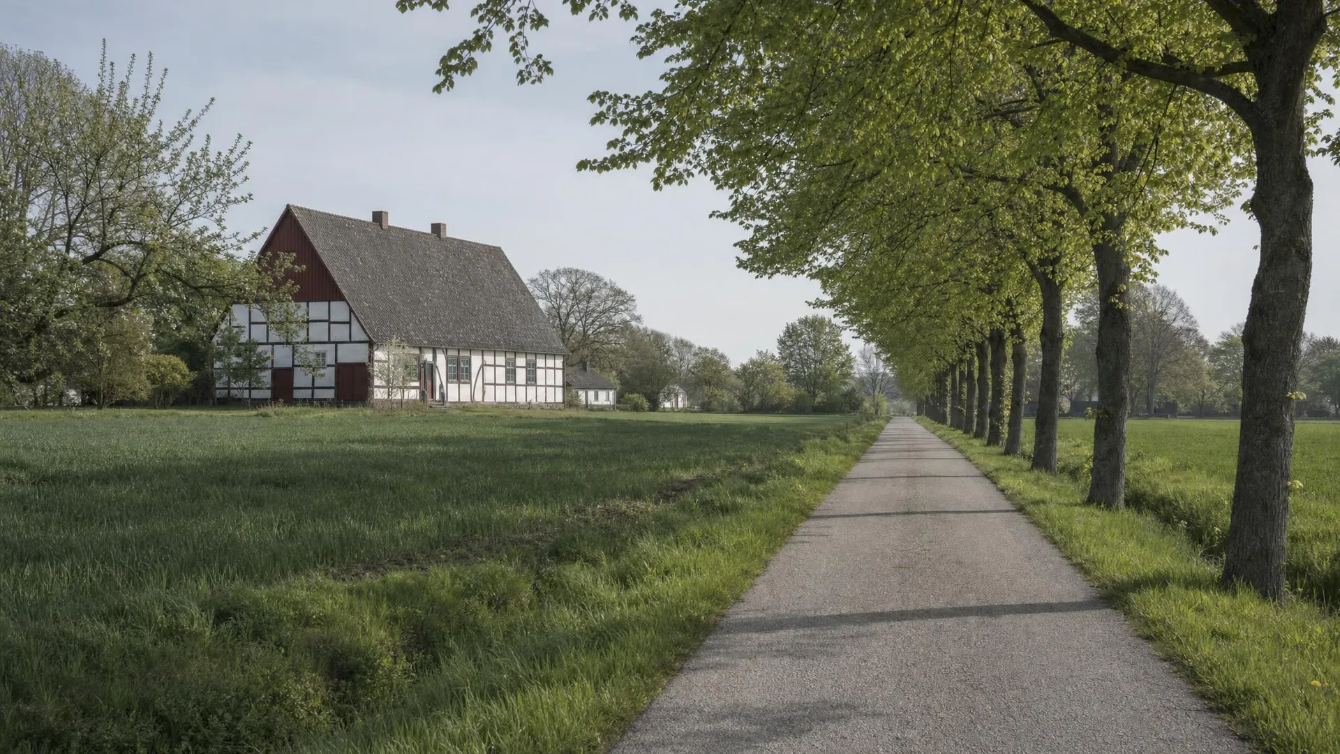 Skånsk slätt med vitkalkad gård och trädkantad väg i Skåne län