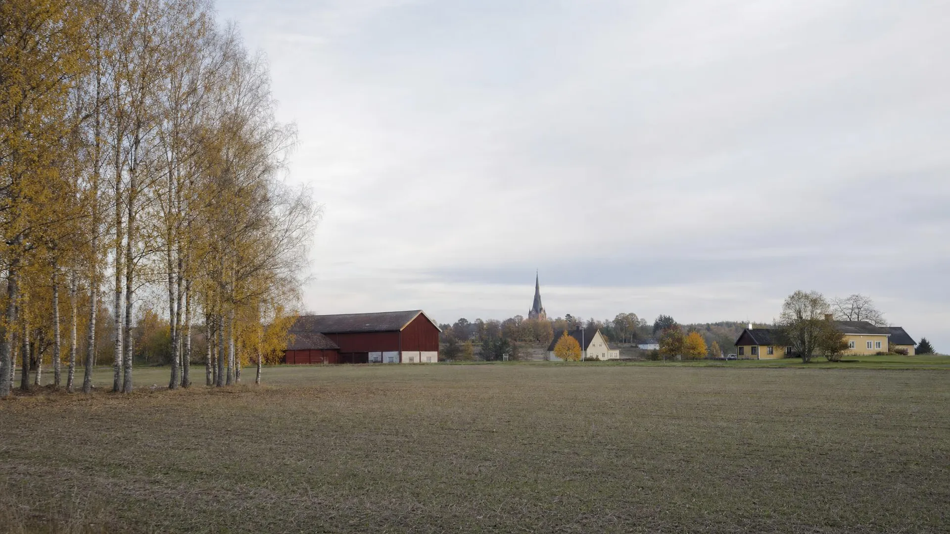 Slättlandskap med röd lada, kyrktorn och björkallé i Uppsala län